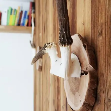 Apartament Schoene Wohnung, Zentral, Mit Panorama-aussicht