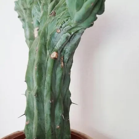 Schoene Wohnung, Zentral, Mit Panorama-aussicht * Grossarl