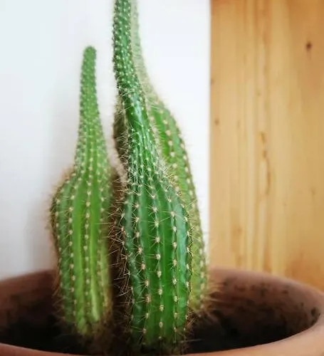 Schoene Wohnung, Zentral, Mit Panorama-aussicht דירה